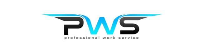 Professional Work Service