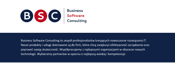 Business Software Consulting