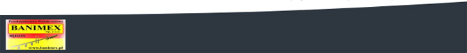 P.W. Banimex Sp. z o.o.
