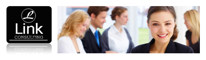 Link Consulting